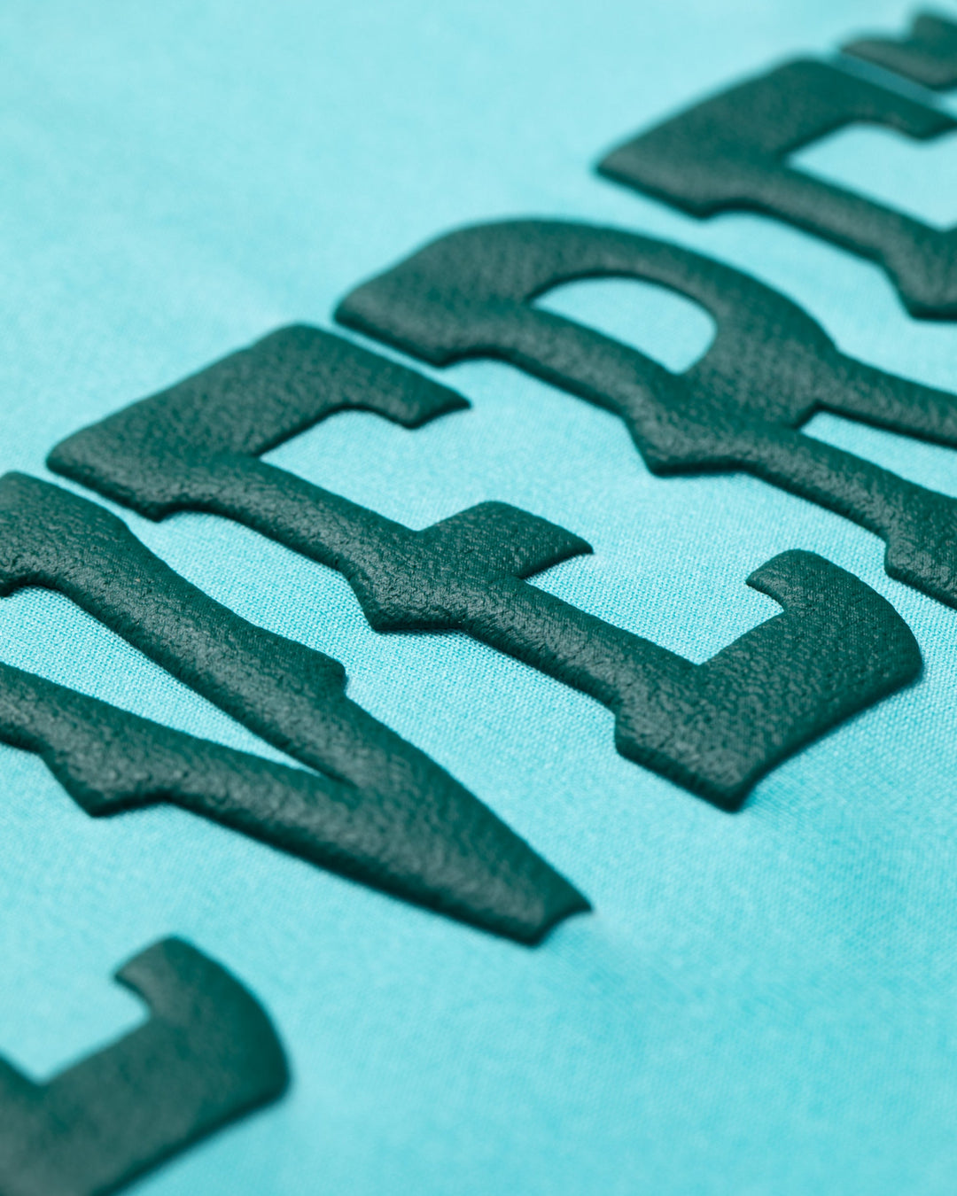 ARIZONA StingerリブモックネックTEE 763572012-AQUA