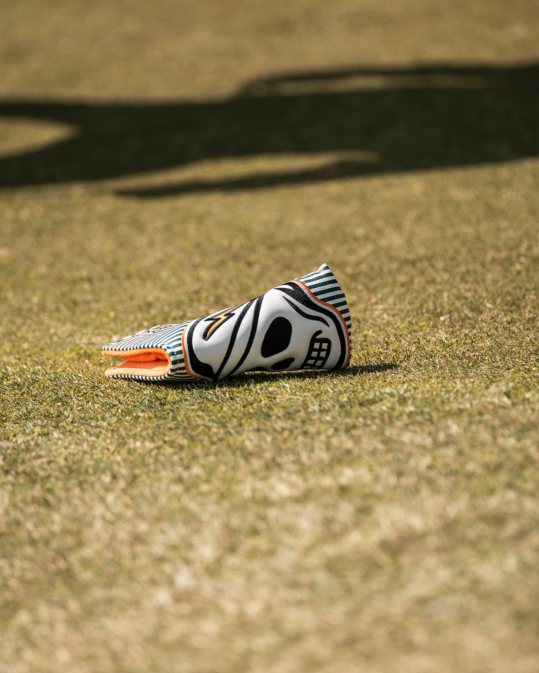 DVG Journey to Georgia BLADECOVER 075762824-GREEN